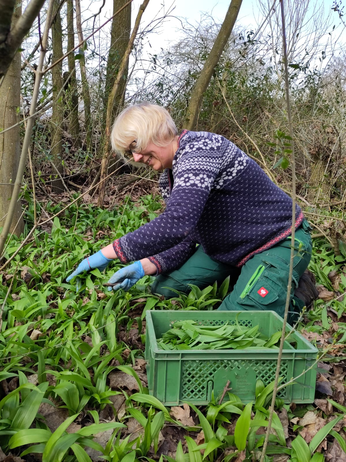 Kräutergärtnerei Thees GbR START